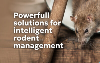 Rodent control and urban pest management