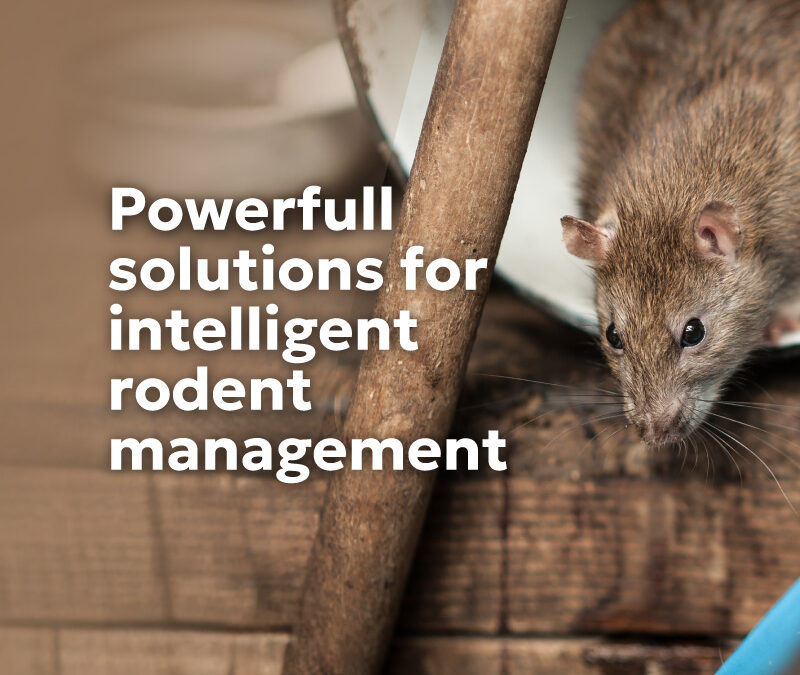 Rodent control and urban pest management